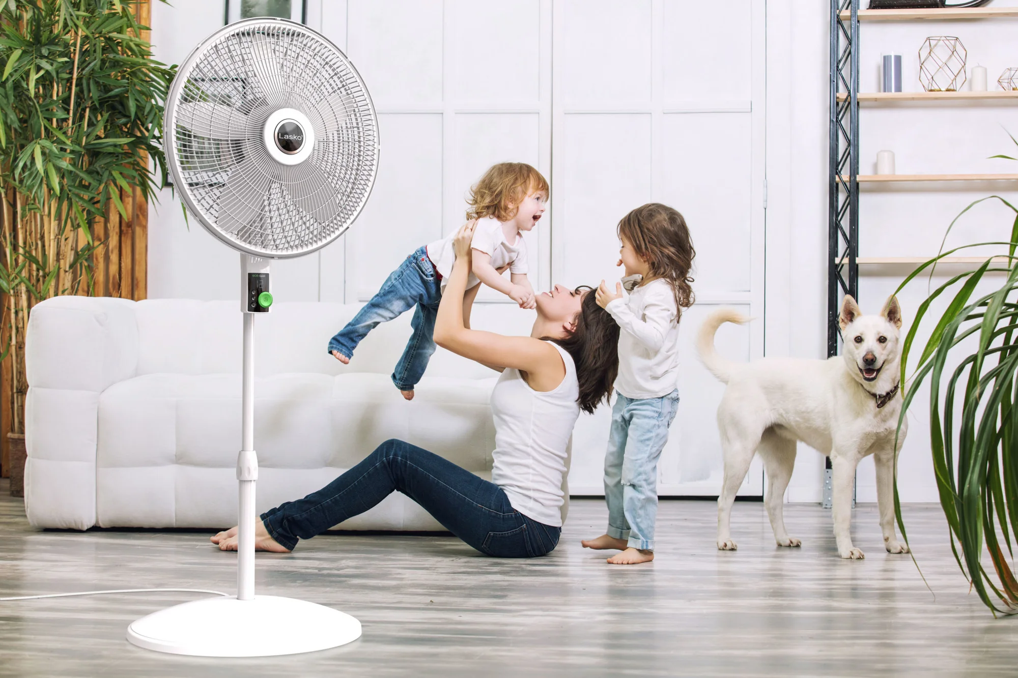 Lasko WhisperForce™ 18" 4-speed EcoQuiet DC Motor Pedestal Fan with Remote & Timer (white, model S18705) - Image 15